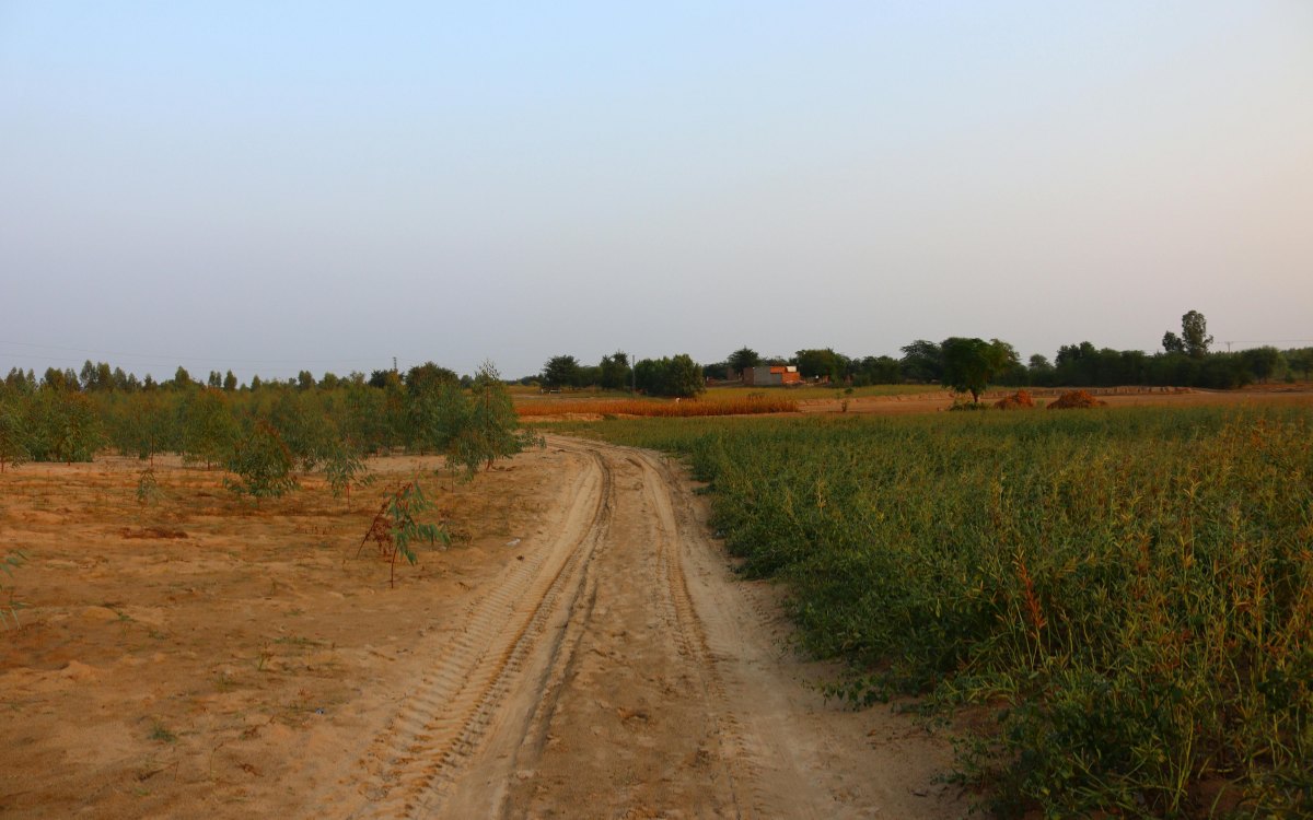 Is Now a Good Time to Buy Rural Land Near Mount Ayr, Iowa?